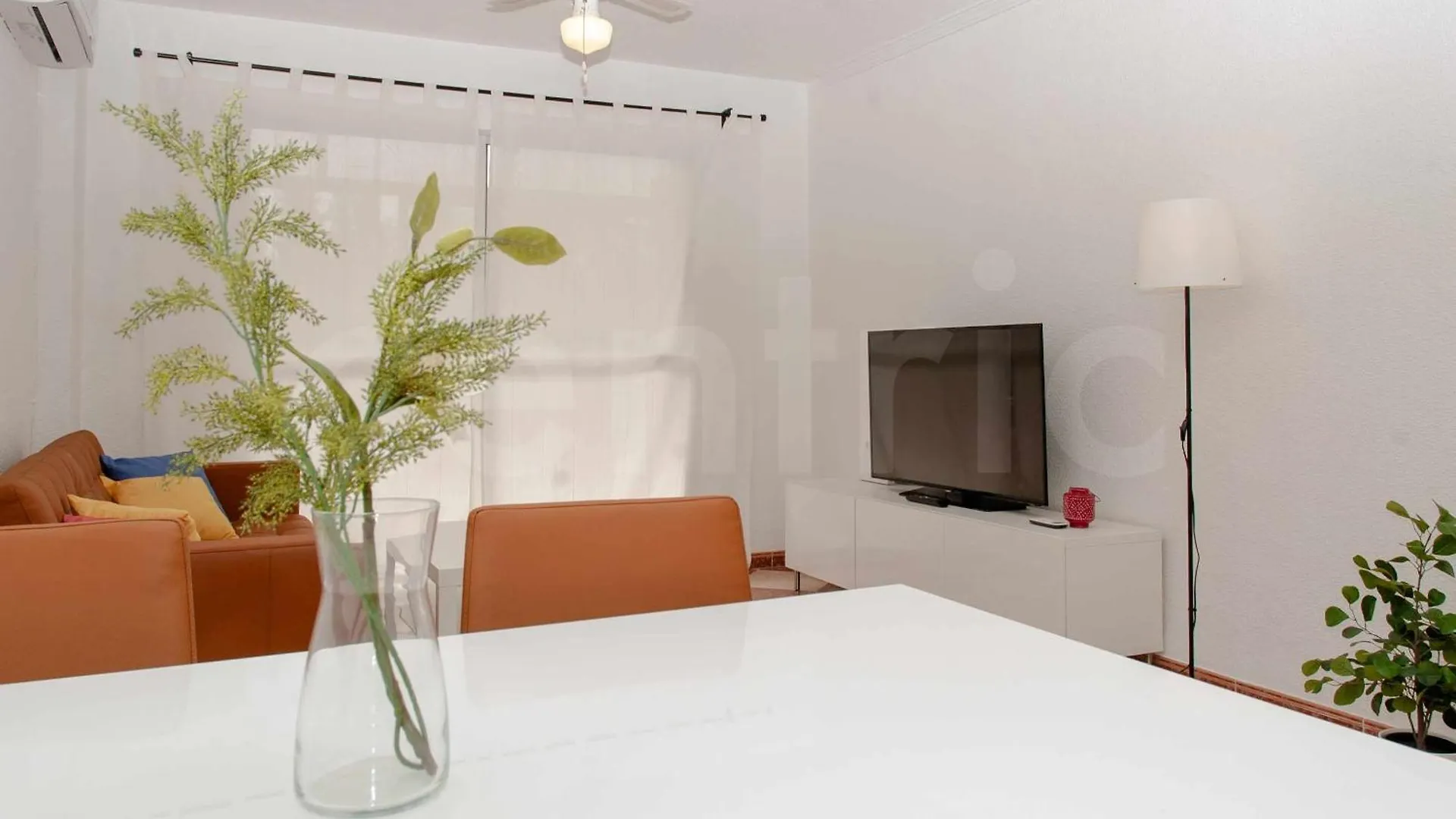 Piso En Barrio Tradicional Malagueno Apartment Malaga